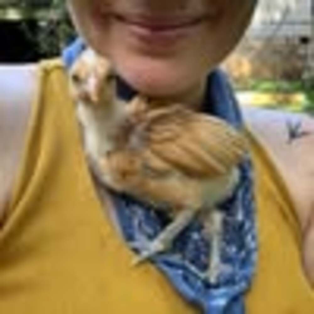 Meet your Posher, Angel